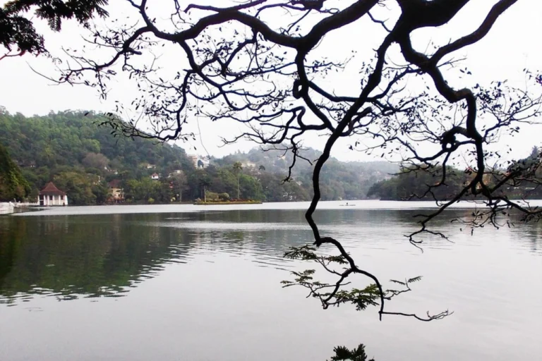 Kandy 04